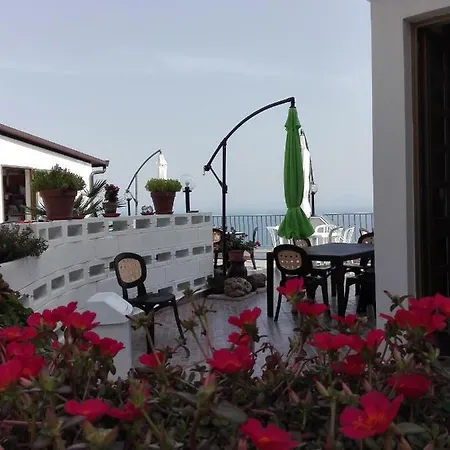 Calava Rosa جويوزا ماريا