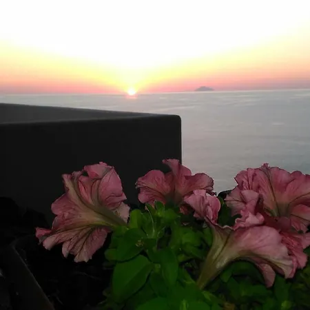 Calava Rosa * Gioiosa Marea