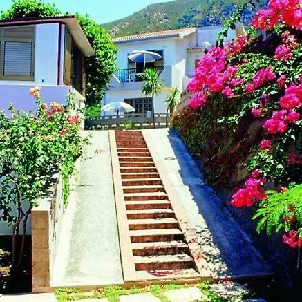 Calava Rosa جويوزا ماريا