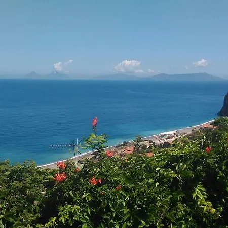 Calava Rosa